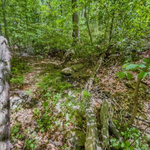 Photo #49 of Off Sunset Dr., Asheboro, NC 29.9 acres