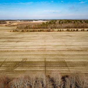 Photo #7 of Off of West Rd, Chesapeake, VA 118.0 acres