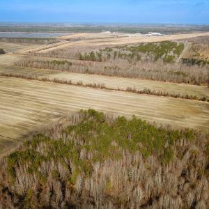 Photo #10 of Off of West Rd, Chesapeake, VA 118.0 acres