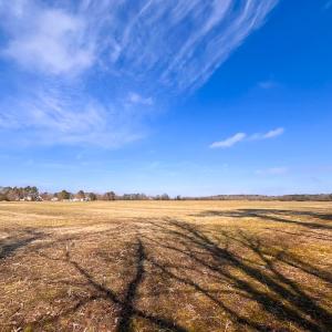 Photo #12 of Off of West Rd, Chesapeake, VA 118.0 acres