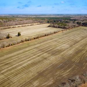 Photo #13 of Off of West Rd, Chesapeake, VA 118.0 acres