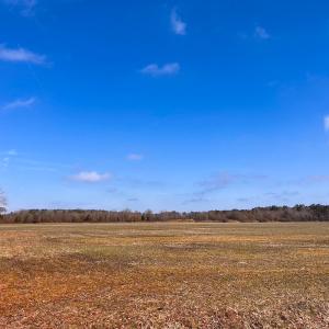 Photo #14 of Off of West Rd, Chesapeake, VA 118.0 acres