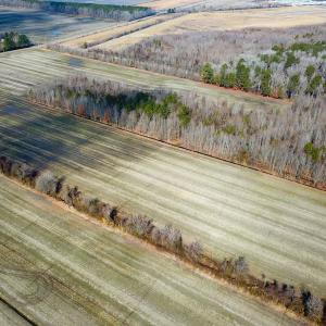 Photo #17 of Off of West Rd, Chesapeake, VA 118.0 acres