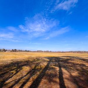 Photo #19 of Off of West Rd, Chesapeake, VA 118.0 acres