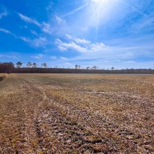 Photo #23 of Off of West Rd, Chesapeake, VA 118.0 acres