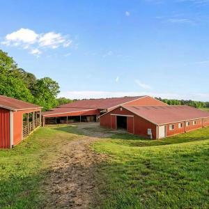 Photo #69 of 2727 Lower Moncure Rd, Sanford, NC 52.0 acres