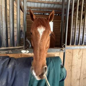 Photo #76 of 2727 Lower Moncure Rd, Sanford, NC 52.0 acres