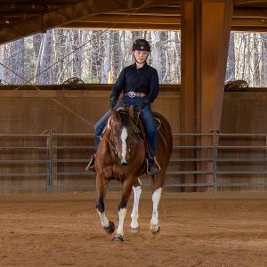 Photo #82 of 2727 Lower Moncure Rd, Sanford, NC 52.0 acres