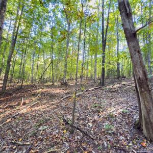 Photo #12 of Off of NC Hwy 731 E, Candor, NC 173.2 acres