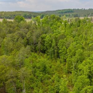 Photo #13 of Off of NC Hwy 731 E, Candor, NC 173.2 acres