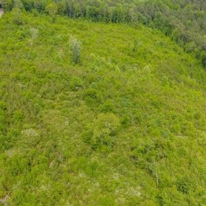 Photo #14 of Off of NC Hwy 731 E, Candor, NC 173.2 acres