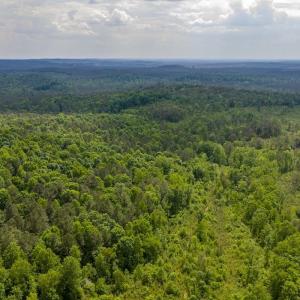 Photo #15 of Off of NC Hwy 731 E, Candor, NC 173.2 acres