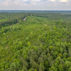 Photo #2 of Off of NC Hwy 731 E, Candor, NC 173.2 acres