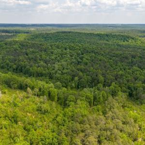 Photo #20 of Off of NC Hwy 731 E, Candor, NC 173.2 acres