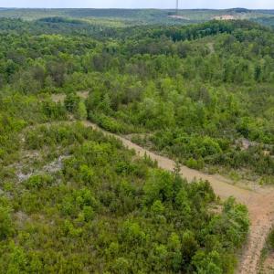 Photo #21 of Off of NC Hwy 731 E, Candor, NC 173.2 acres