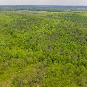 Photo #22 of Off of NC Hwy 731 E, Candor, NC 173.2 acres