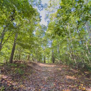 Photo #24 of Off of NC Hwy 731 E, Candor, NC 173.2 acres