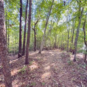 Photo #27 of Off of NC Hwy 731 E, Candor, NC 173.2 acres