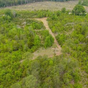 Photo #28 of Off of NC Hwy 731 E, Candor, NC 173.2 acres