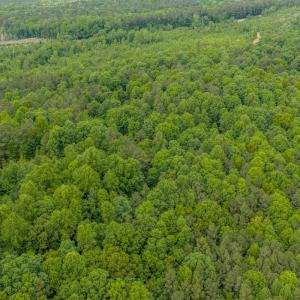 Photo #29 of Off of NC Hwy 731 E, Candor, NC 173.2 acres