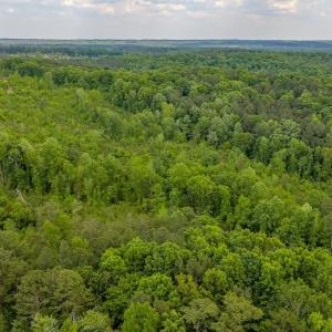 Photo #3 of Off of NC Hwy 731 E, Candor, NC 173.2 acres