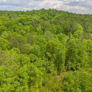 Photo #31 of Off of NC Hwy 731 E, Candor, NC 173.2 acres