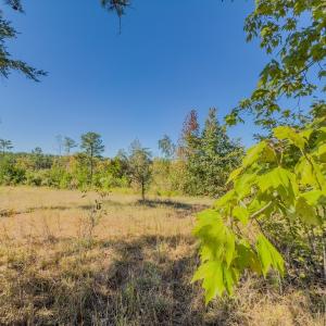 Photo #33 of Off of NC Hwy 731 E, Candor, NC 173.2 acres