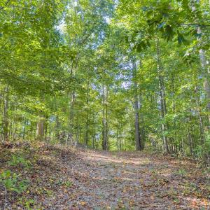 Photo #34 of Off of NC Hwy 731 E, Candor, NC 173.2 acres