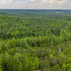 Photo #36 of Off of NC Hwy 731 E, Candor, NC 173.2 acres