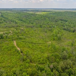 Photo #37 of Off of NC Hwy 731 E, Candor, NC 173.2 acres