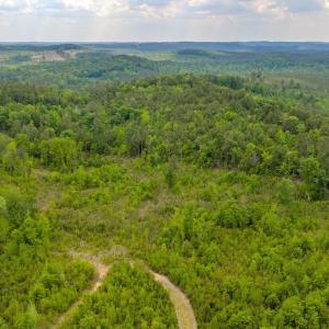 Photo #39 of Off of NC Hwy 731 E, Candor, NC 173.2 acres