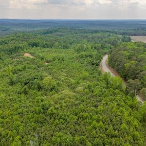 Photo #4 of Off of NC Hwy 731 E, Candor, NC 173.2 acres