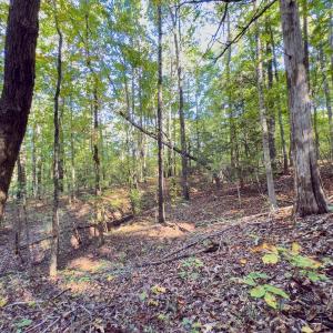 Photo #40 of Off of NC Hwy 731 E, Candor, NC 173.2 acres