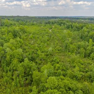 Photo #8 of Off of NC Hwy 731 E, Candor, NC 173.2 acres