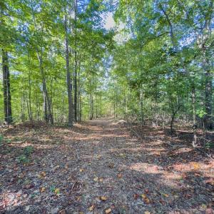 Photo #43 of Off of NC Hwy 731 E, Candor, NC 173.2 acres