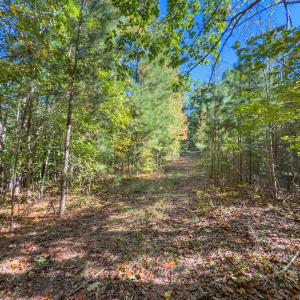 Photo #44 of Off of NC Hwy 731 E, Candor, NC 173.2 acres