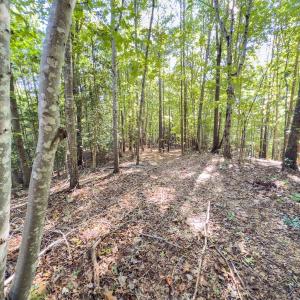 Photo #45 of Off of NC Hwy 731 E, Candor, NC 173.2 acres