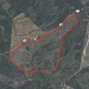 Photo #52 of Off of NC Hwy 731 E, Candor, NC 173.2 acres