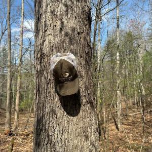 Photo #14 of Off of Wagon Trail Rd , Monroe, VA 9.2 acres