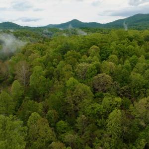 Photo #17 of Off of Wagon Trail Rd , Monroe, VA 9.2 acres