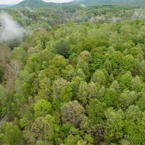 Photo #18 of Off of Wagon Trail Rd , Monroe, VA 9.2 acres