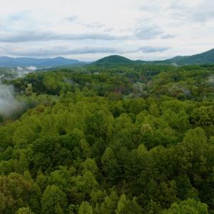Photo #19 of Off of Wagon Trail Rd , Monroe, VA 9.2 acres