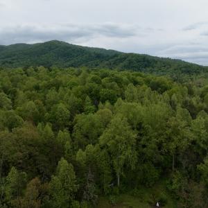 Photo #20 of Off of Wagon Trail Rd , Monroe, VA 9.2 acres