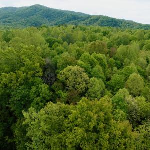 Photo #25 of Off of Wagon Trail Rd , Monroe, VA 9.2 acres