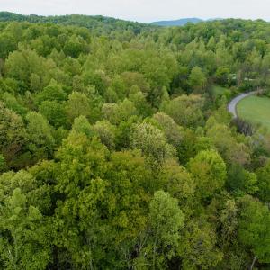 Photo #26 of Off of Wagon Trail Rd , Monroe, VA 9.2 acres
