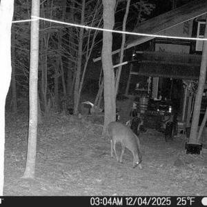 Photo #29 of Off of Wagon Trail Rd , Monroe, VA 9.2 acres