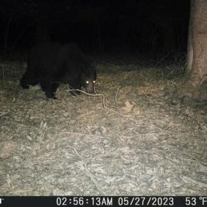 Photo #34 of Off of Wagon Trail Rd , Monroe, VA 9.2 acres