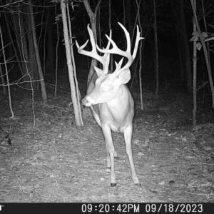 Photo #35 of Off of Wagon Trail Rd , Monroe, VA 9.2 acres