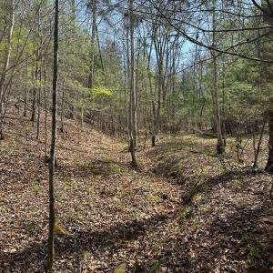 Photo #40 of Off of Wagon Trail Rd , Monroe, VA 9.2 acres