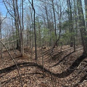 Photo #43 of Off of Wagon Trail Rd , Monroe, VA 9.2 acres